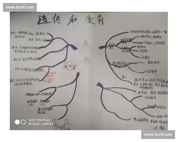 一个作品是否可以同时参加多个比赛的完整解析与建议